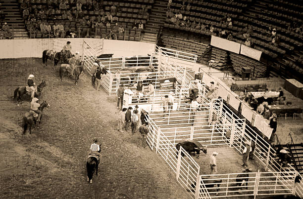 Arena Cowboys and Rodeo (Roughened) stock photo