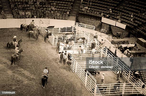 Arena Cowboys E Rodeo Roughened - Fotografias de stock e mais imagens de Rodeio - Rodeio, Texas, Wyoming