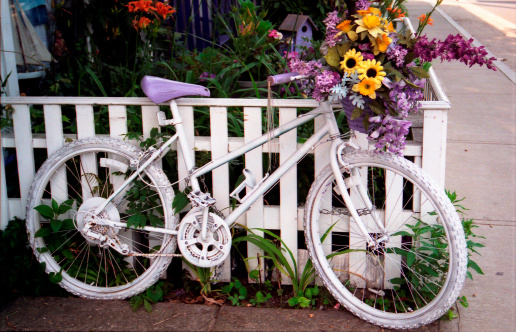 Old bike being used as a flower planter