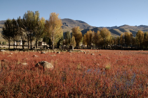 This is a tourist location along the highway leading to DaoCheng (also known as Shangrila). The pond was famous due to the presence of red-colored grass.