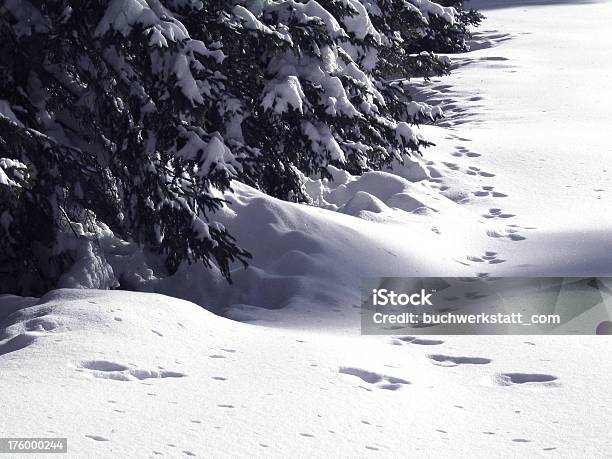 Foto de A Poucos Passos Do Yeti Trilha De Neve e mais fotos de stock de Alpes europeus - Alpes europeus, Atividade, Atividade Recreativa