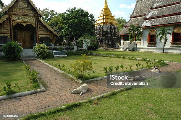 Wat Chiang Man Foto de stock y más banco de imágenes de Río Yangtsé - Río Yangtsé, Vat, Alrededor del siglo XIV