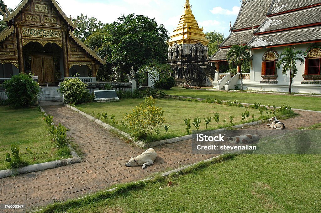 Wat Chiang Man - Royalty-free Rio Yangtse Foto de stock