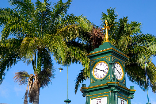 Clock tower in Basseterre, St. Kitt's. Palm trees fill in blue sky in background. We have many images from St. Kitt's in our portfolio.