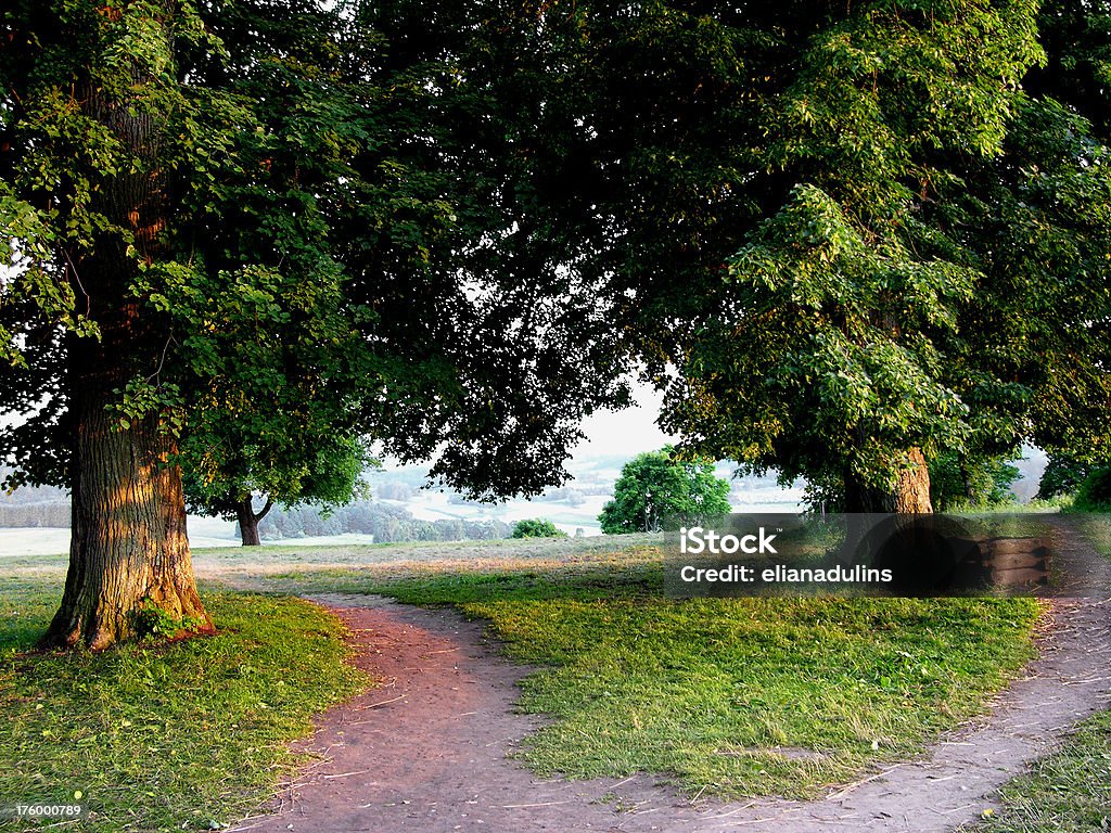 Crossroads bis Sonnenuntergang - Lizenzfrei Baum Stock-Foto