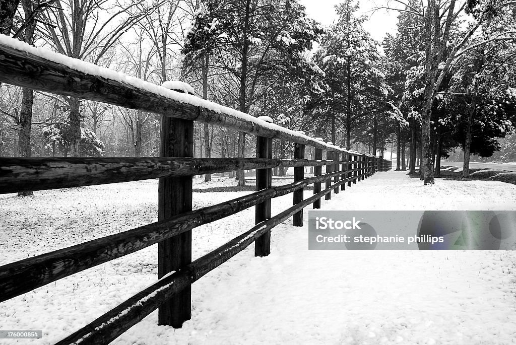 Prima neve parete - Foto stock royalty-free di Albero