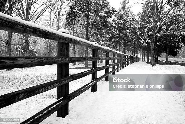 Первый Снег Забор — стоковые фотографии и другие картинки Белый - Белый, Буря, В стиле минимализма
