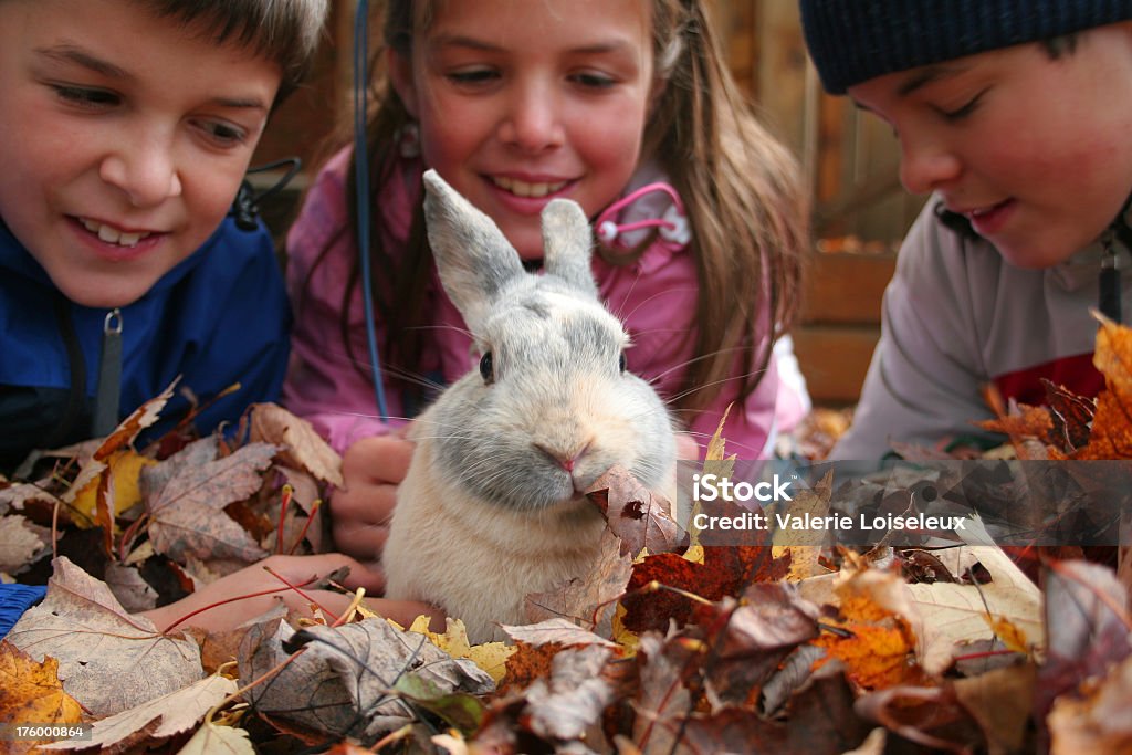 Bunny et enfants - Photo de Amitié libre de droits