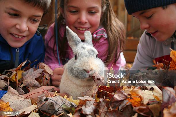 Photo libre de droit de Bunny Et Enfants banque d'images et plus d'images libres de droit de Amitié - Amitié, Animaux de compagnie, Automne