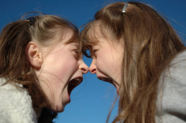 istock Twin Shouting Match - Nose2Nose 176001095