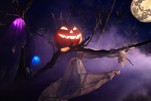 Halloween Pumpkin and the multicolor  ghost flying on the tree at night in the dead forest