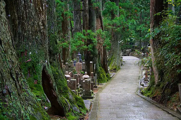 "This photo was taken in the wonderfully spiritual and awe inspiring cemetery of Okunoin, which is located in Koyasan (Mount Koya), Japan.  Thousands of shrines, gravestones, and sculptures are nestled among huge pine trees.  Koyasan is a major center of Buddhism in Japan."