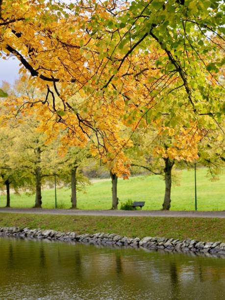 istock the park is very scenic and very beautiful during the fall 1760012121
