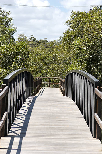 Arched Walkway Arched Walkway in nature reserve stetner stock pictures, royalty-free photos & images