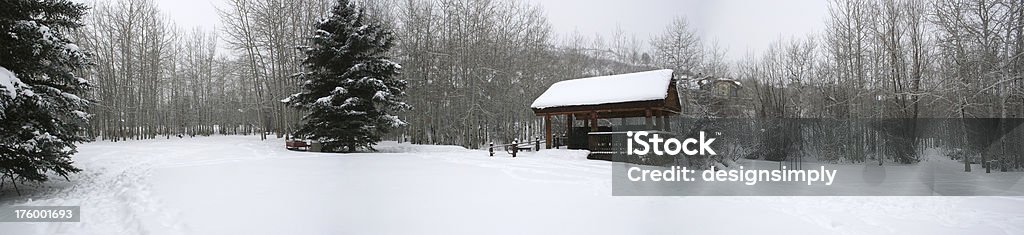 ユキコ Winterscape - ユタ州のロイヤリティフリーストックフォト