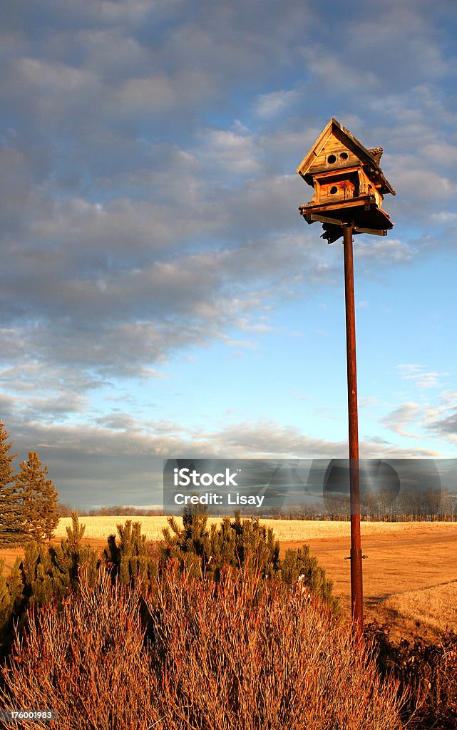 Casetta per gli uccelli in farm - Foto stock royalty-free di Ambientazione esterna