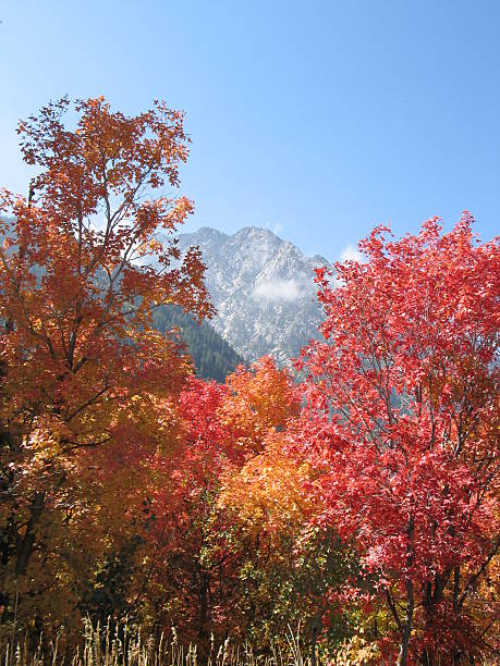 Autumn in the Mountains stock photo