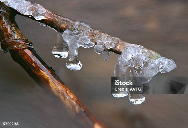 冬のストリーム Vi - 枝のストックフォトや画像を多数ご用意 - 枝, 水, 氷