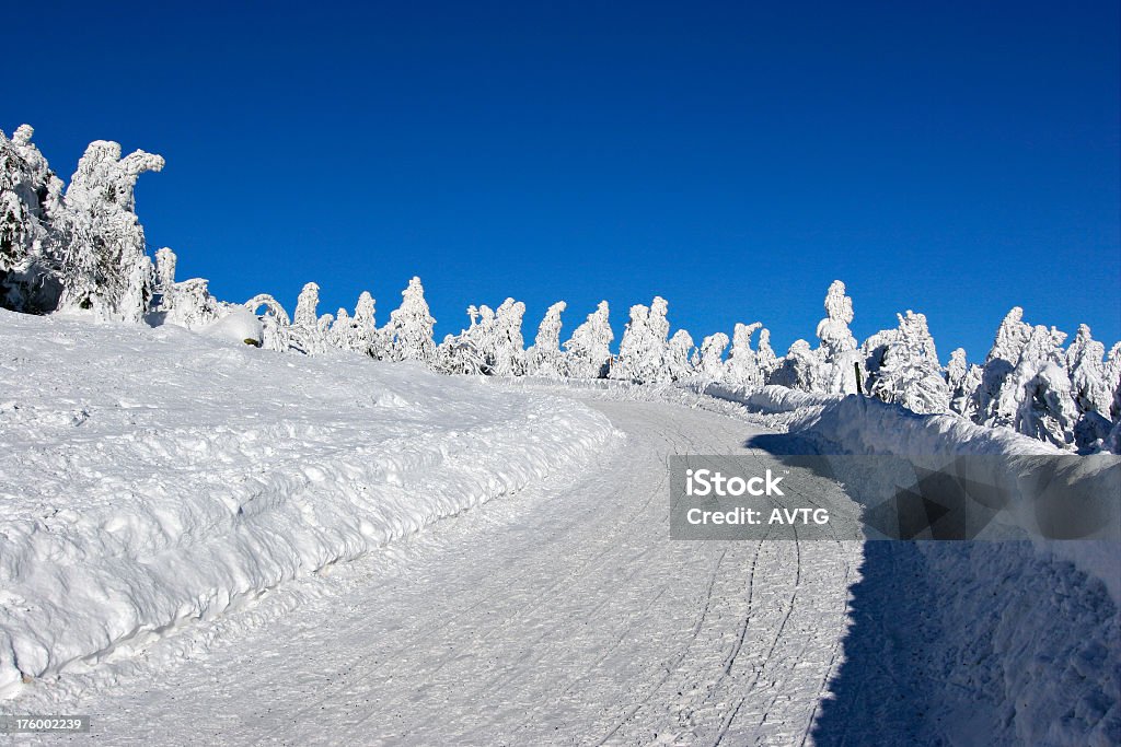 Inverno strada VIII - Foto stock royalty-free di Abete