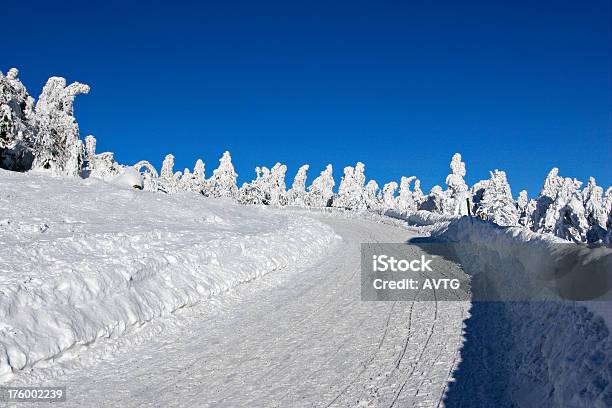 Inverno Strada Viii - Fotografie stock e altre immagini di Abete - Abete, Albero, Ambientazione esterna