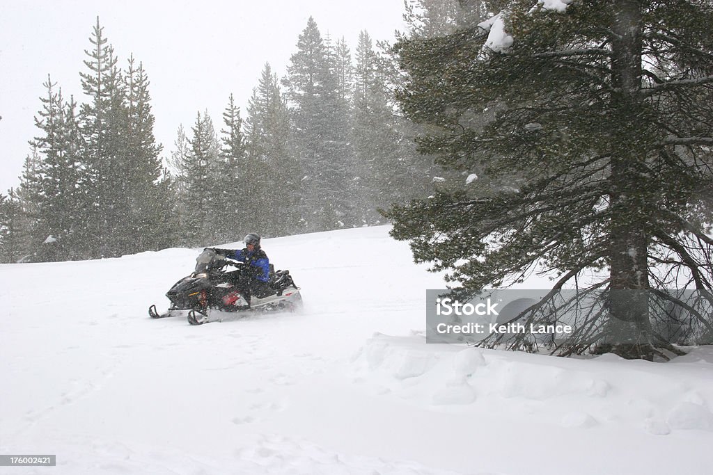 Snowmobiling - Foto de stock de A caminho royalty-free