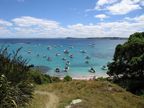 View looking down on Hobbs Bay on Tiritiri Matangi island. Bay is full of boats and clear blue water.