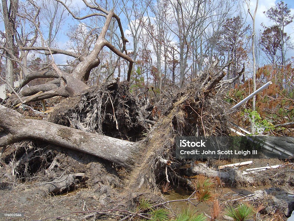 Katrina de madera - Foto de stock de Destrucción libre de derechos