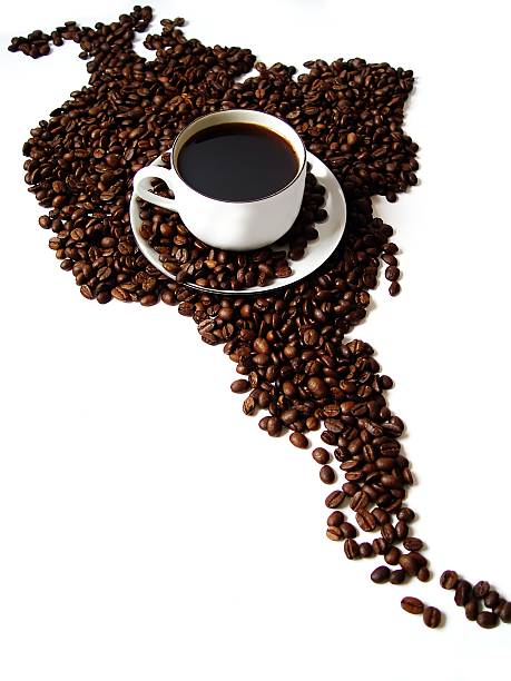 istock Cup of coffee from South America 176002652