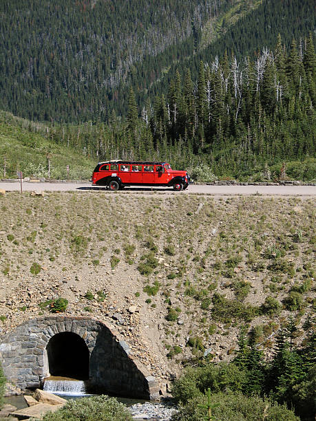 bus rouge dans le parc national de glacier - us glacier national park montana bus park photos et images de collection