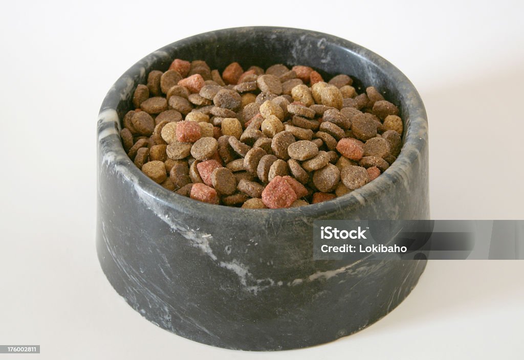 Completo Dogfood ciotola - Foto stock royalty-free di Canide