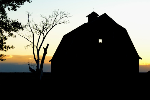 Silhouetted Barn In Sunset
