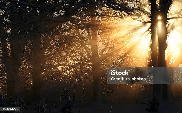 Sunrise 2 Stockfoto und mehr Bilder von Abgeschiedenheit - Abgeschiedenheit, Arktis, Baum