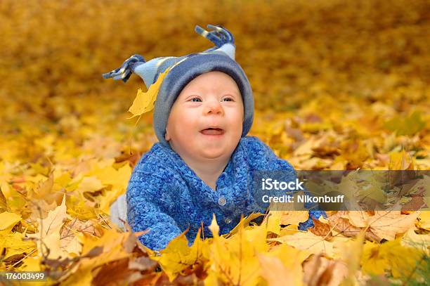 Bambino Ragazzo Giocando Con Foglie Caduto - Fotografie stock e altre immagini di Bebé - Bebé, Catasta, Foglia