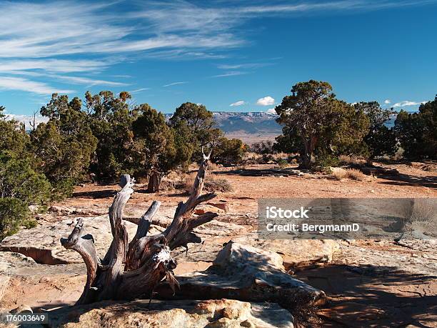 Foto de Colorado National Monument11 e mais fotos de stock de Artemísia - Artemísia, Azul, Cena Não-urbana