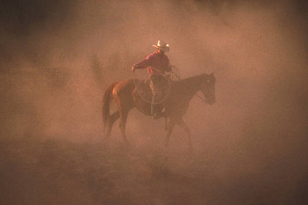 cowboys i wranglers 4 - horse animals in the wild wyoming rebellion zdjęcia i obrazy z banku zdjęć