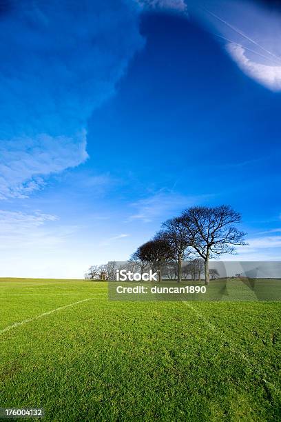 Foto de Árvores E Campo Verde e mais fotos de stock de Campo - Campo, Fileira, Linha Reta