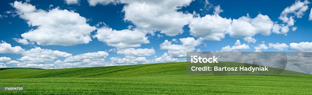 Vista panorámica del paisaje de primavera 55 MPix XXXXL-meadow, cielo azul - Foto de stock de Agricultura libre de derechos