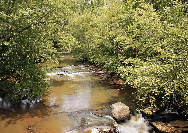 istock Creek and Rapids Roswell Georgia 176004765