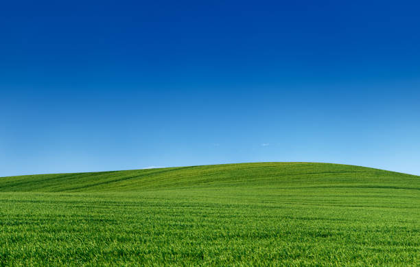 istock Panoramic spring landscape 55MPix XXXXL - meadow, blue sky 176004838