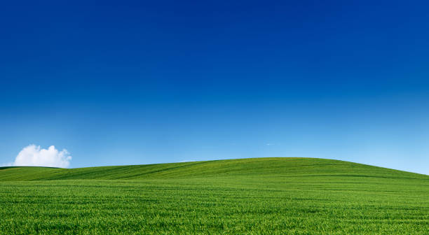 istock Panoramic spring landscape 76MPix XXXXL - meadow, blue sky 176004903