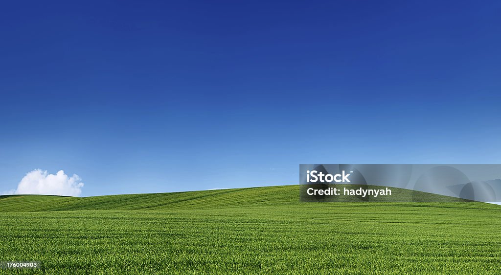 Panoramic spring landscape 76MPix XXXXL - meadow, blue sky [b]Spring landscape - meadow, the blue sky - 76MPix, XXXXL size
 This panoramic landscape is an very high resolution multi-frame composite and is suitable for large scale printing.[/b]

[b]55 MPix Spring Panorama[/b]  [b]175 MPix Spring Panorama [/b] 
[url=/file_closeup.php?id=6350358][img]/file_thumbview_approve.php?size=3&id=6350358[/img][/url] [url=/file_closeup.php?id=6958186][img]/file_thumbview_approve.php?size=3&id=6958186[/img][/url]
[b]108 MPix Spring Panorama[/b]    [b]79 MPix Spring Panorama [/b]
[url=/file_closeup.php?id=6364228][img]/file_thumbview_approve.php?size=3&id=6364228[/img][/url] [url=/file_closeup.php?id=6940797][img]/file_thumbview_approve.php?size=3&id=6940797[/img][/url]

[b]98 & 94 MPix Spring Panoramas[/b]
[url=/file_closeup.php?id=7838506][img]/file_thumbview_approve.php?size=3&id=7838506[/img][/url] [url=/file_closeup.php?id=7836891][img]/file_thumbview_approve.php?size=3&id=7836891[/img][/url]

[b]More XXXXL SPRING PANORAMAS in LIGHTBOX:[/b]
[url=http://www.istockphoto.com/search/lightbox/5288347]
[img]http://bhphoto.pl/IS/panoramas_380.jpg[/img][/url]

[url=http://www.istockphoto.com/search/lightbox/6216820]
[img]http://bhphoto.pl/IS/square_380.jpg[/img][/url]

[b] XXXL BLUE SKY PANORAMAS [/b]
[url=http://www.istockphoto.com/search/lightbox/5434517]
[img]http://bhphoto.pl/IS/sky_380.jpg[/img][/url]

[url=http://www.istockphoto.com/search/lightbox/5779032]
[img]http://bhphoto.pl/IS/snorkeling_380.jpg[/img][/url]

[url=http://www.istockphoto.com/search/lightbox/5908303]
[img]http://bhphoto.pl/IS/paintball_380.jpg[/img][/url]

[url=http://www.istockphoto.com/search/lightbox/5460418]
[img]http://bhphoto.pl/IS/monks_380.jpg[/img][/url]

[url=http://www.istockphoto.com/search/lightbox/5288409]
[img]http://bhphoto.pl/IS/speed_380.jpg[/img][/url] Agricultural Field Stock Photo