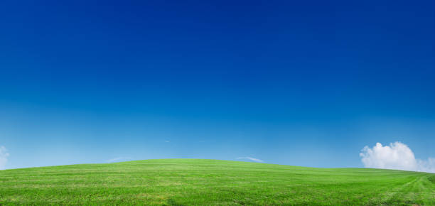 istock Panoramic spring landscape 84MPix XXXXL - meadow, blue sky 176005290