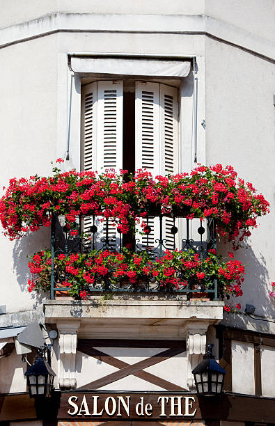 Window Box Flowers in Provence on top of Tea Salon