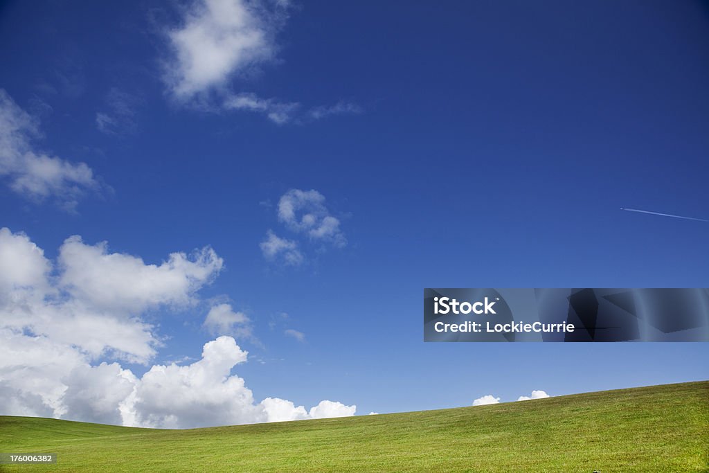 Ciel ensoleillé - Photo de Arbre libre de droits