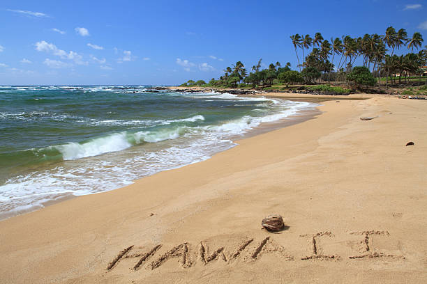 istock Hawaii written in the sand 176006896