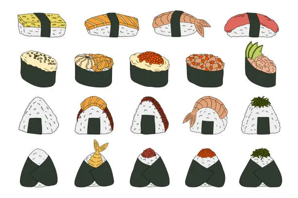 Vector illustration of Hand drawn sushi and onigiri