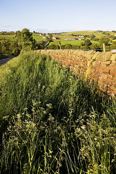 istock Yorkshire Countryside Late Afternoon 176006990