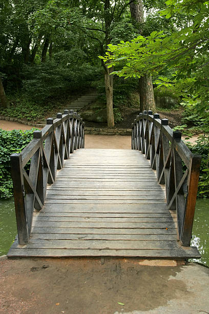 puente peatonal en el parque - pond athwart footbridge bridge fotografías e imágenes de stock