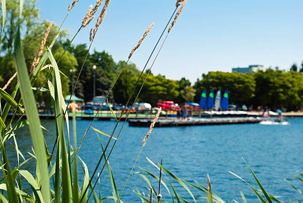 Tall grass with dock on lake in background