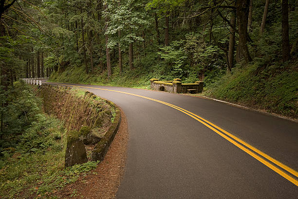 Straße durch das Columbia River Gorge – Foto